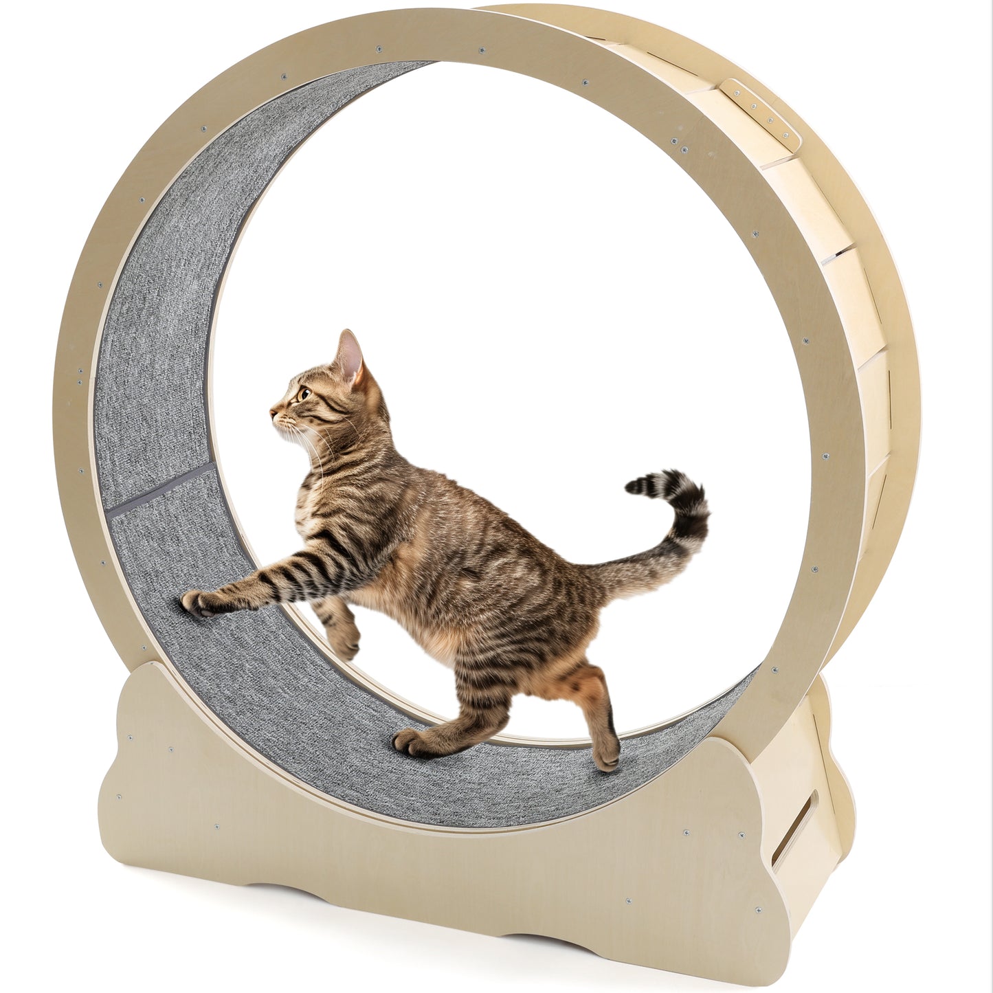 YODOLLA 110cm Cat Exercise Wheel Large, Cats Treadmill with Detachable Carpeted Runway