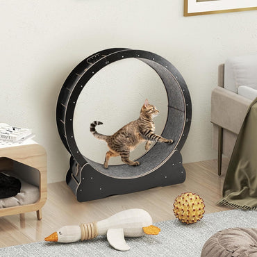 YODOLLA 110cm Cat Exercise Wheel Large, Cats Treadmill with Detachable Carpeted Runway