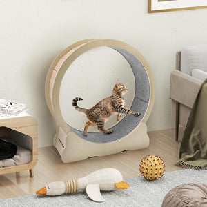 YODOLLA 110cm Cat Exercise Wheel Large, Cats Treadmill with Detachable Carpeted Runway